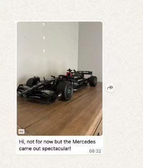 WhatsApp of a finished Mercedes F1 building set