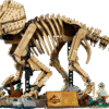 Dinosaur Fossils Triceratops-77985