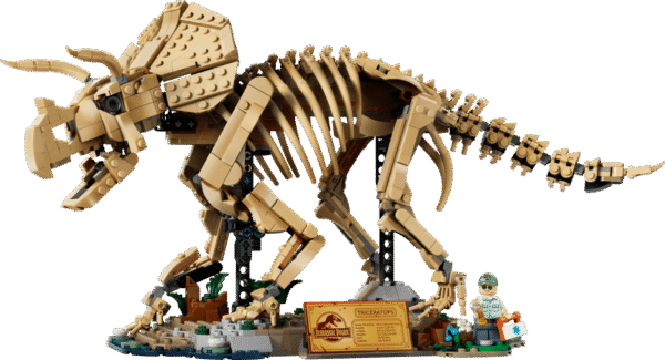 Dinosaur Fossils Triceratops-77985